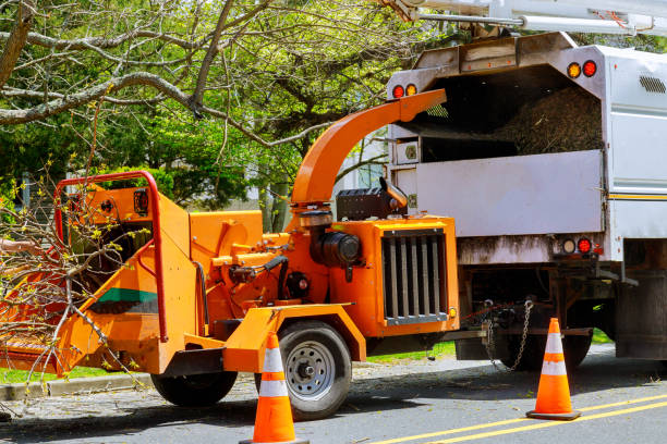 Tree Service Company in Wakefield, VA